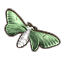 Springlight Moth icon